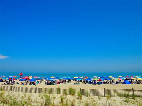 richard miller rehobeth beach delaware|Richard Miller in Rehoboth Beach, DE .